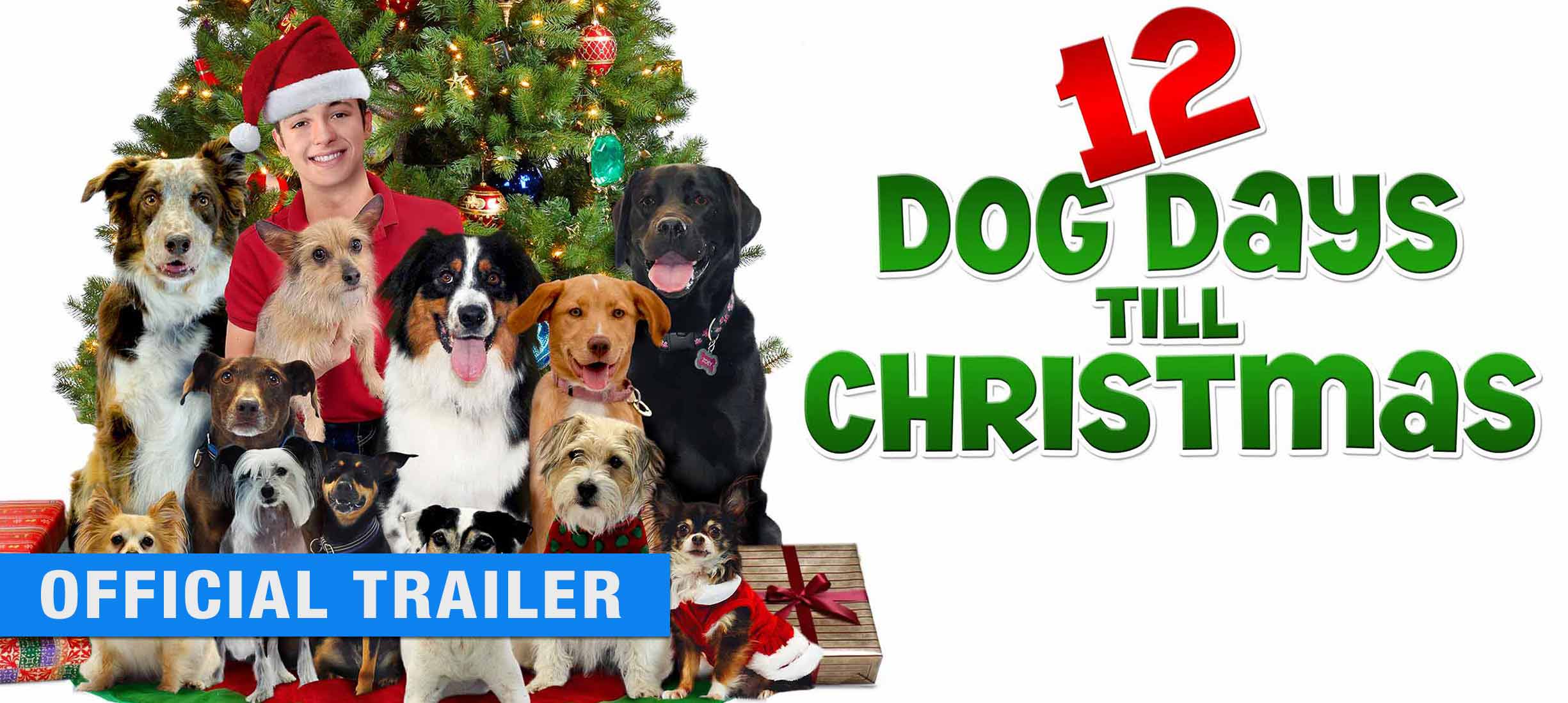 12 Dog Days Till Christmas: Trailer