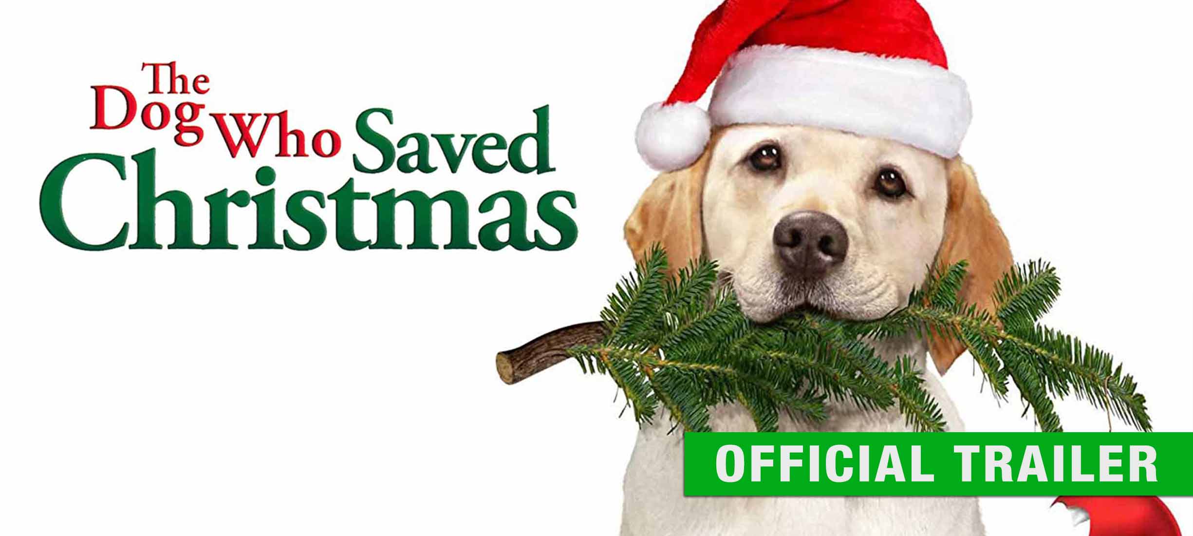 The Dog Who Saved Christmas: Trailer