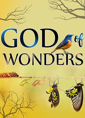 God of Wonders