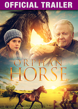Orphan Horse: Trailer