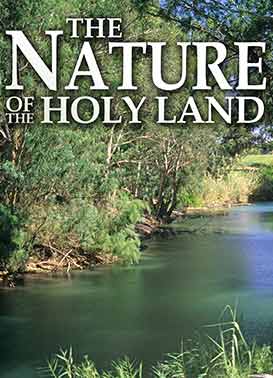 Nature Of The Holy Land