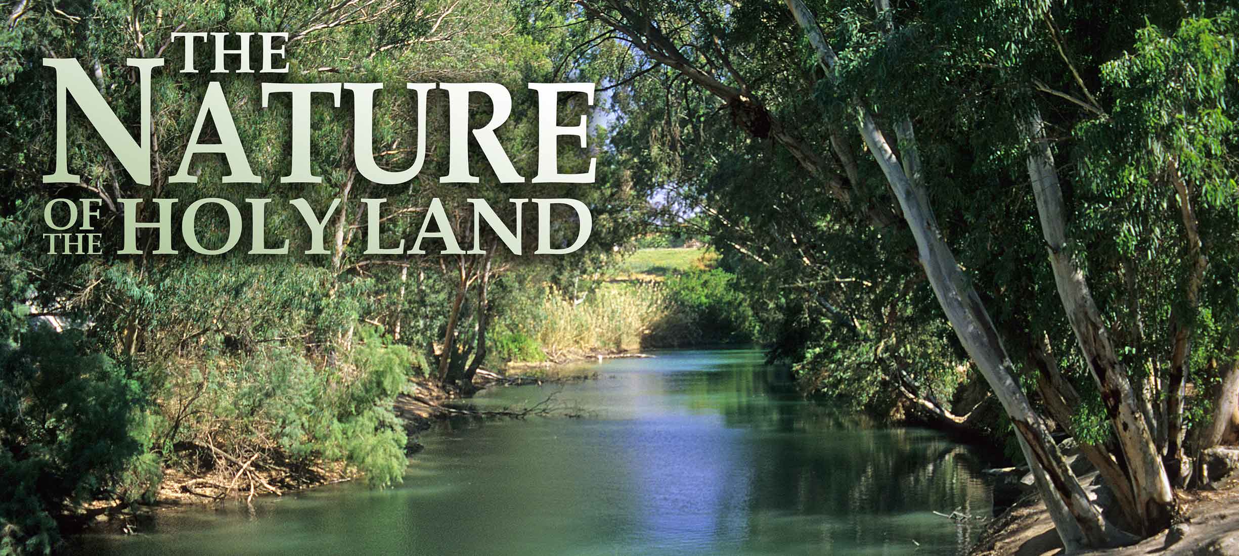 Nature Of The Holy Land