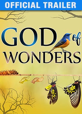 God of Wonders - Official Trailer