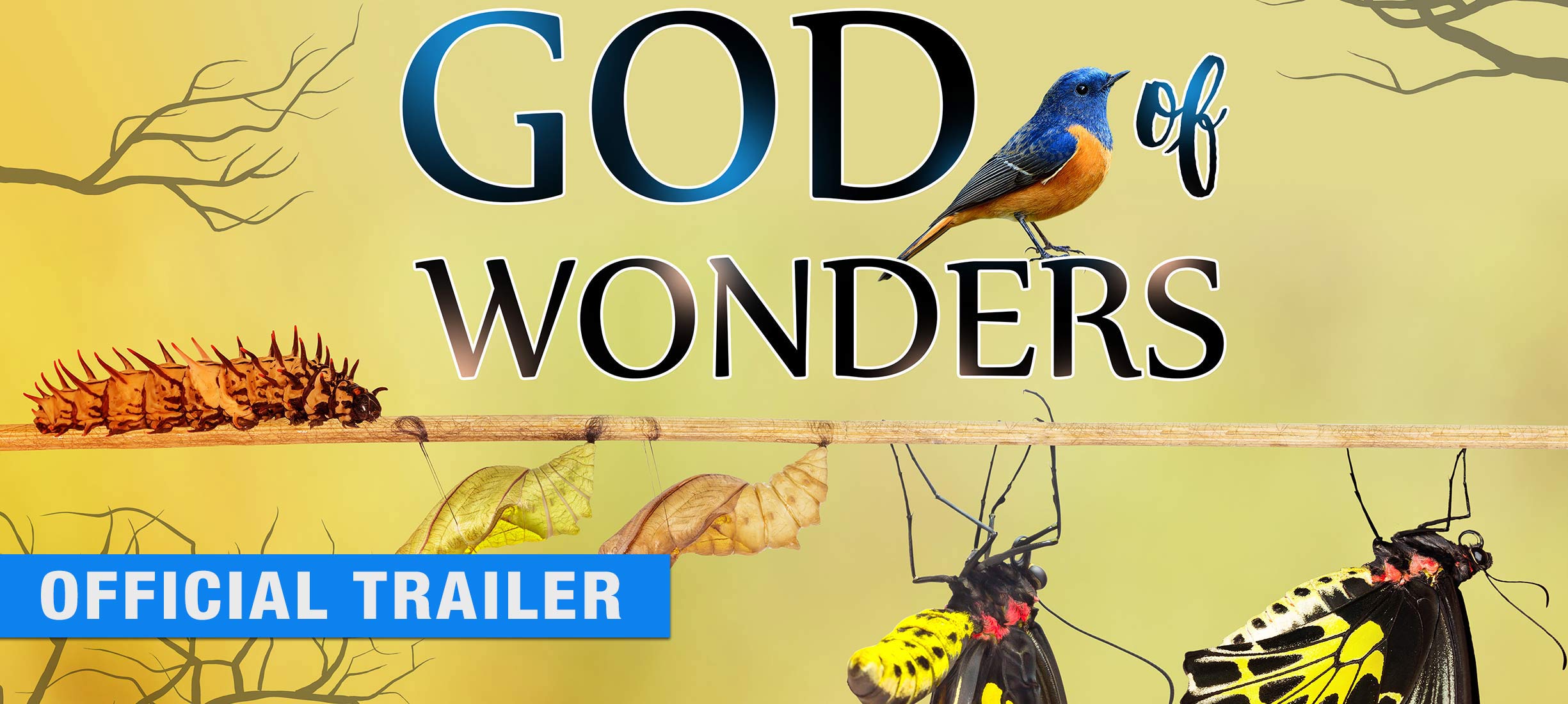 God of Wonders - Official Trailer