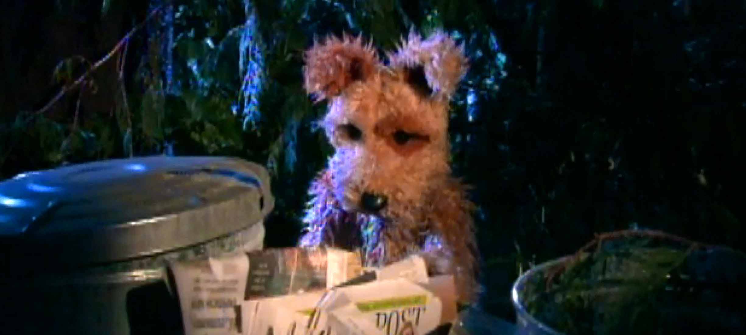 Watch Mustard Pancakes "Oogleberry Ink Dog" Online Pure Flix