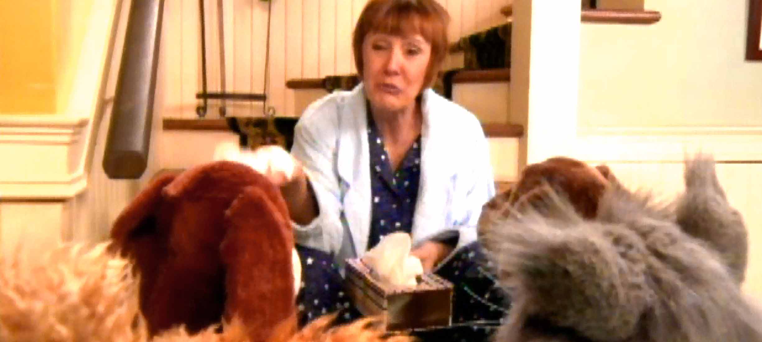 Watch Mustard Pancakes "The Camel With The Runny Nose" Online Pure Flix