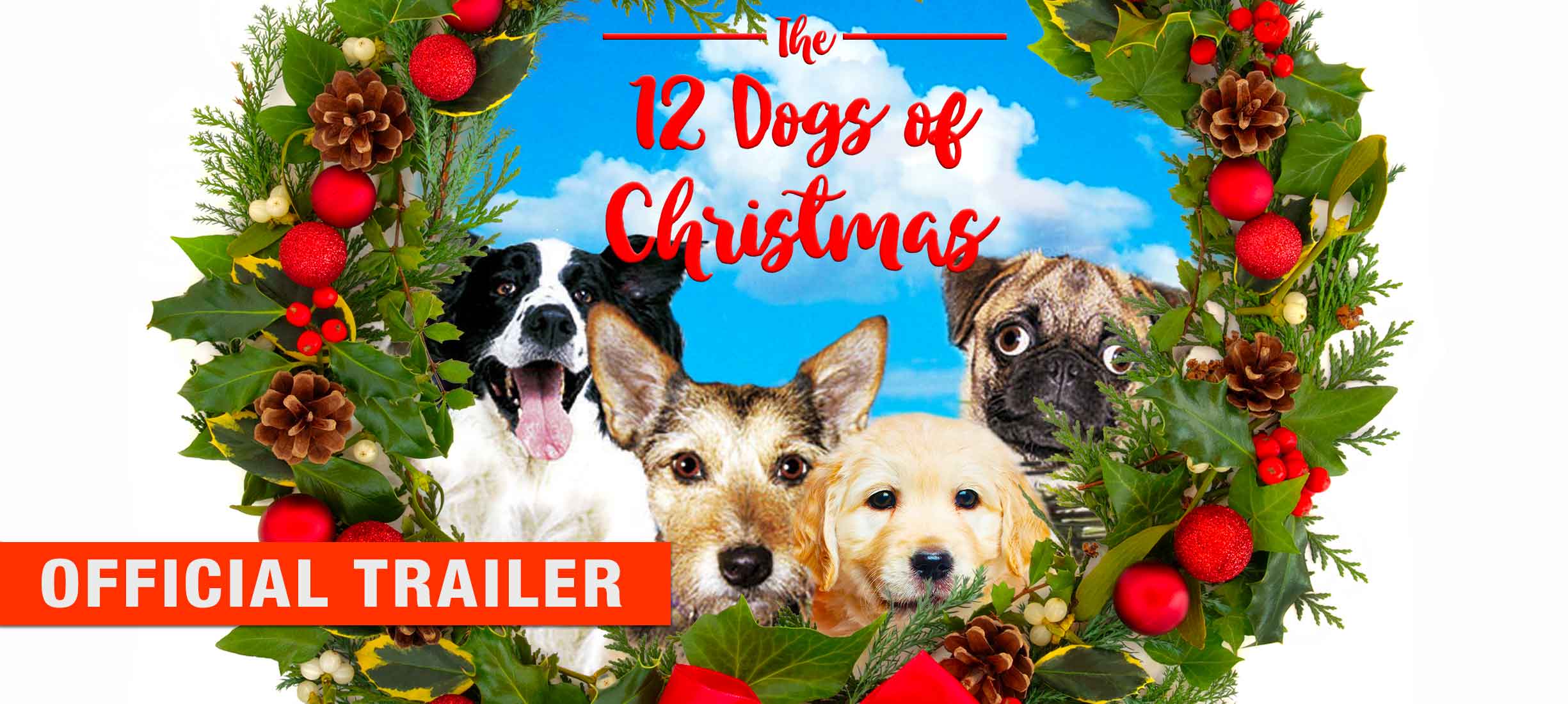 12 dogs of christmas 2012